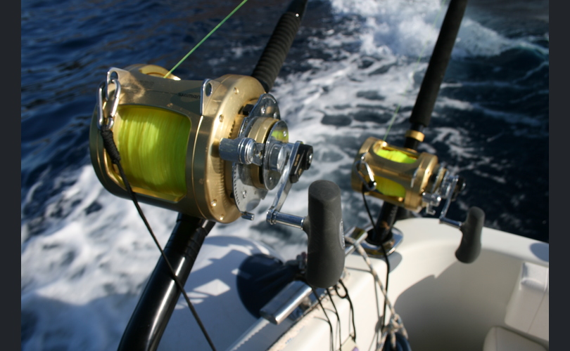 Starfisher Starfisher 34-kuva-17